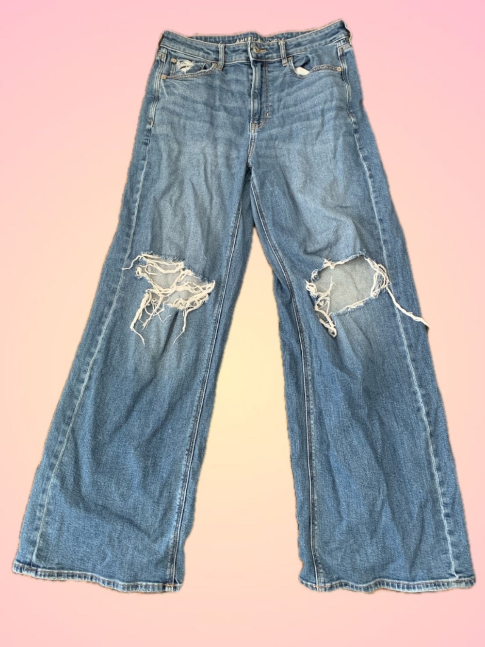 American Eagle High Rise Baggy Wide Leg denim
